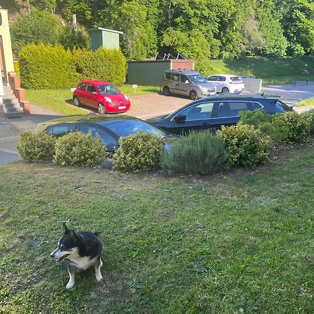 Apartment Zum Vierbeiner - Derzeit In Renovierung Buchbar Ab Juli 2025 Pirna