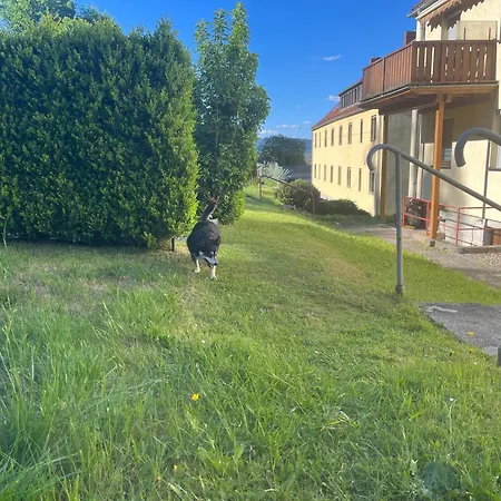 Zum Vierbeiner - Derzeit In Renovierung Buchbar Ab Juli 2025 Apartment *